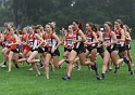 130831 USF-XC-Invite-045